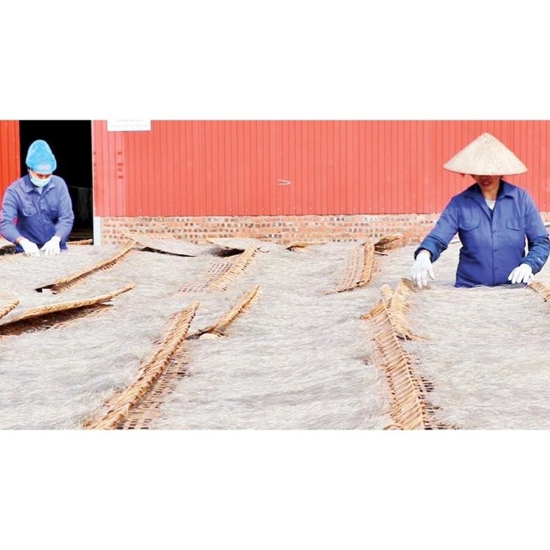 500g-Miến Dong Tráng Tay Sợi To Tài Hoan - Sản Phẩm Đạt OCOP 5 Sao