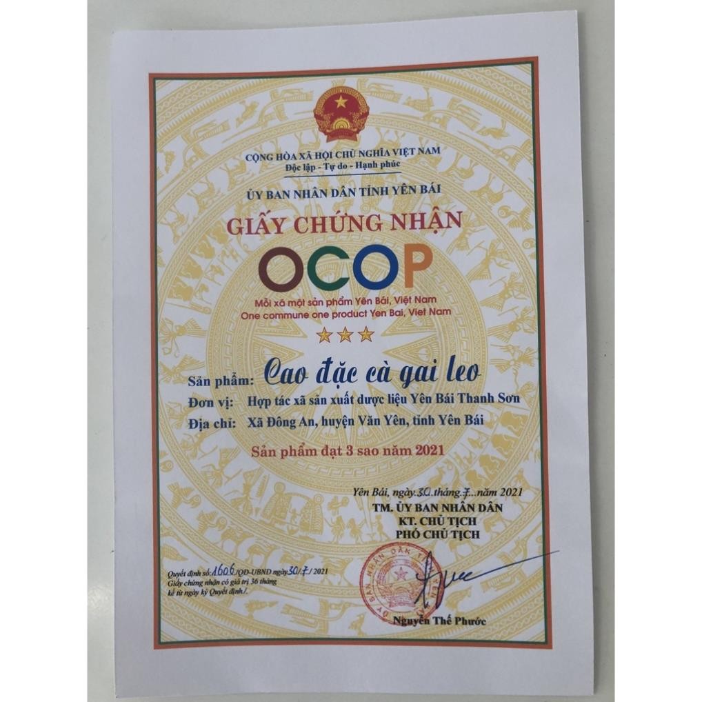 Thân Cà Gai Leo Sấy Khô 100% Tự Nhiên, Mát Gan Giải Rượu, Thanh Nhiệt Giải Độc Cơ Thể Hết Nóng Trong Người - 500g