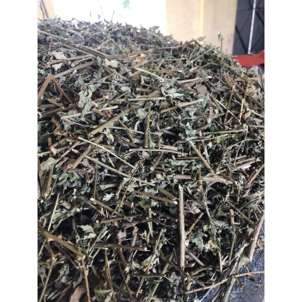 Thân Cà Gai Leo Sấy Khô 100% Tự Nhiên, Mát Gan Giải Rượu, Thanh Nhiệt Giải Độc Cơ Thể Hết Nóng Trong Người - 500g