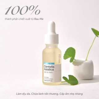 Serum Dưỡng ẩm Và Làm Dịu Da The Potions Centella Asiatica 20ml Chiết Xuất Rau Má