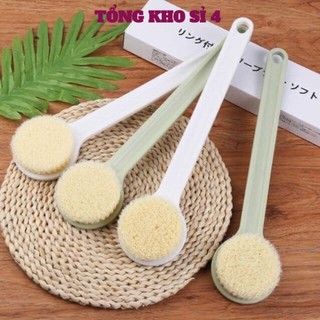 Cây Bàn Chải Cọ Lưng, Chà Lưng Siêm Mềm