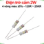 Điện trở cắm 2W 4 vòng màu ±5% - giá trị 120R đến 25KR