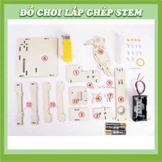 Chim Gõ Kiến Cơ Khí - Học liệu giáo dục STEM STEAM - Đồ chơi lắp ghép gỗ