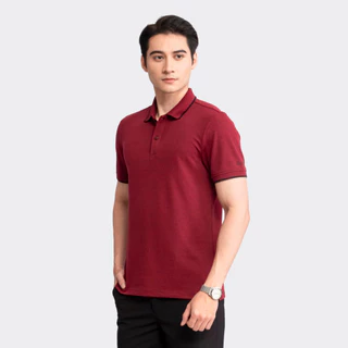 Áo phông trơn có cổ viền trắng INSIDEMEN chính hãng 5 màu nhã nhặn chất liệu cao cấp co giãn tốt IPS040S3