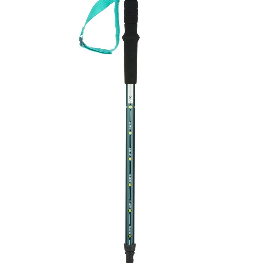 Ảnh Gậy hiking linh hoạt mh500 cho trẻ em xanh DECATHLON quechua mã 8514706 1