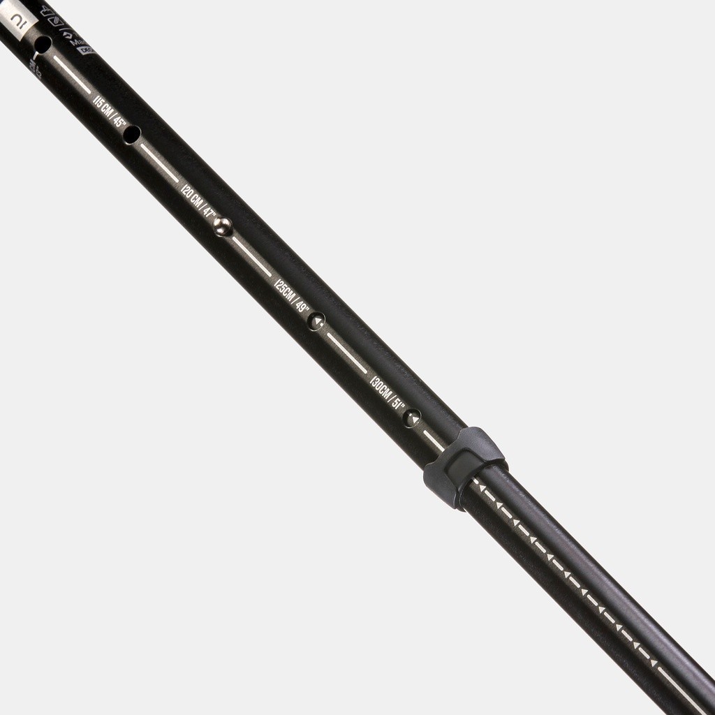 Ảnh Gậy đi bộ leo núi arpenaz 200 đen DECATHLON forclaz mã 8493796 3