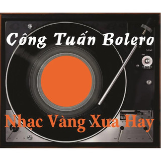 ĐĨA CD 3051. Cong Tuan Bolero Hat Cuc Chat Co Hang Xom Chieu San Ga chất lượng cao