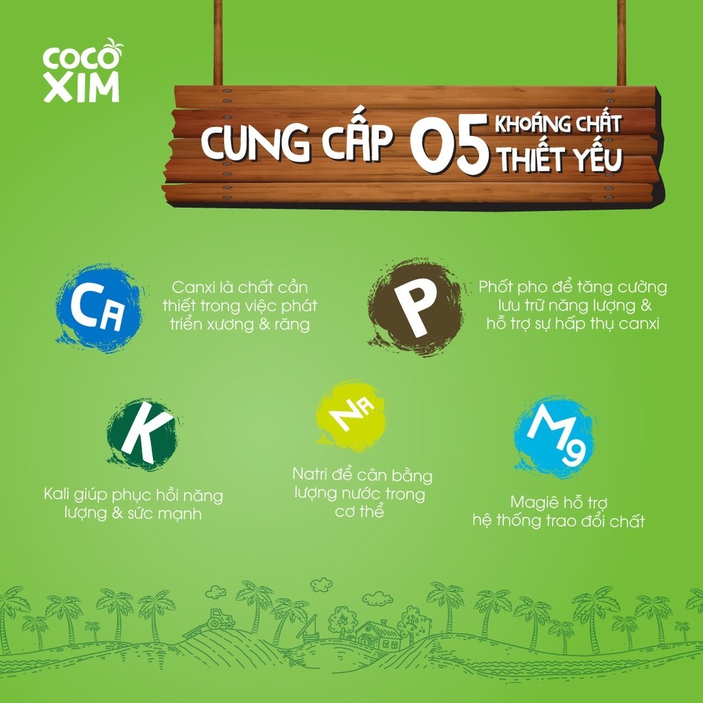 Ảnh THÙNG 12 Hộp Nước dừa đóng hộp Cocoxim Xanh dung tích 330ml/Hộp 3