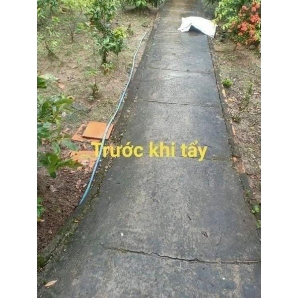 Bột Tẩy Diệt Rong Rêu Gói 500Gr Trên Nền Xi Măng, Nền Gạch, Diệt Mốc Trần, Tường Nhà
