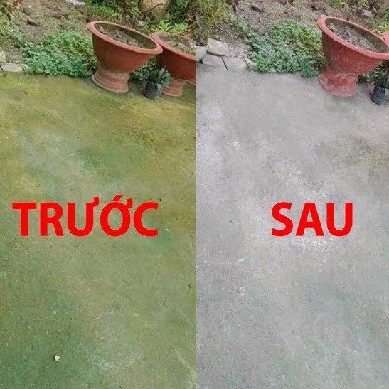 Bột Tẩy Diệt Rong Rêu Gói 500Gr Trên Nền Xi Măng, Nền Gạch, Diệt Mốc Trần, Tường Nhà