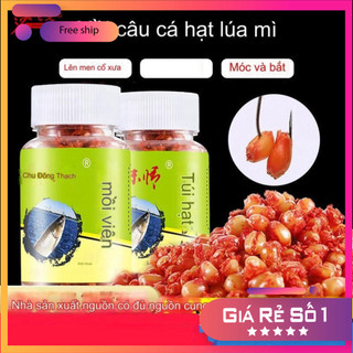 [KM] Mồi Câu Cá Dạng Hạt Lúa Mì, Huyết Mì Câu TRẮM,CHÉP,TRÔI,DIẾC,MO43 [SF3]
