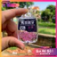 Hộp 50 Lưỡi Nanh Sói CJ SeiKo thời thượng Không Nghạnh, Có Ngạnh LC32 [SF3]