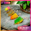 Mồi Câu Cá Giả Tokugawa Hình Ếch Nhảy Mini 2.5cm / 3g MO32