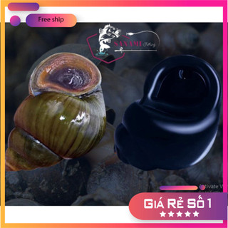 [KM] Mồi Câu Cá Hạt Đan Hình Ốc 30con,10con Hạt Nổi Hương Việt Quất, Hương Thịt Ốc Câu Trắm, Trôi, Chép Săn Hàng MO02