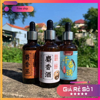 [KM] Tinh Mùi Xạ Hương King, Tinh Chất Câu Cá tổ hợp Chép Diếc Trắm Cỏ Rô, Rô Phi Siêu Nhạy MO11 [SF3]