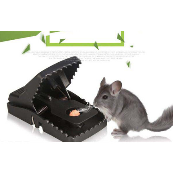 Dụng Cụ Bẫy Chuột Bằng Nhựa Siêu Bền Thông Minh Tiện Lợi