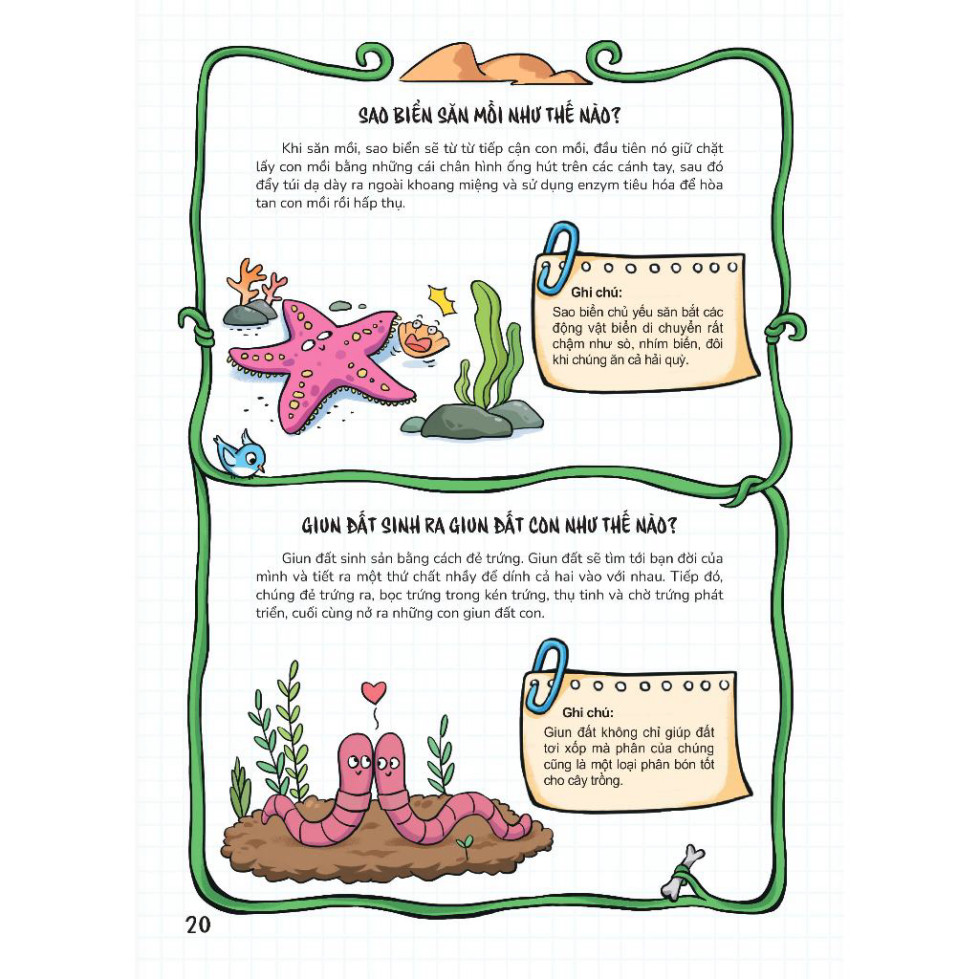 Sách - Bách Khoa Toàn Thư Vui Nhộn - Sinh Vật - Giúp Bé Mở Rộng Tri Thức