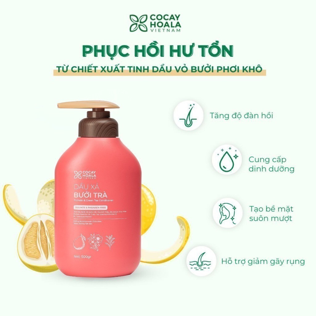 [HỎA TỐC] Combo Dầu Gội Xả Thảo Dược Cỏ Cây Hoa Lá Bưởi Trà Phục Hồi Tóc Hư Tổn 500g | BigBuy360 - bigbuy360.vn