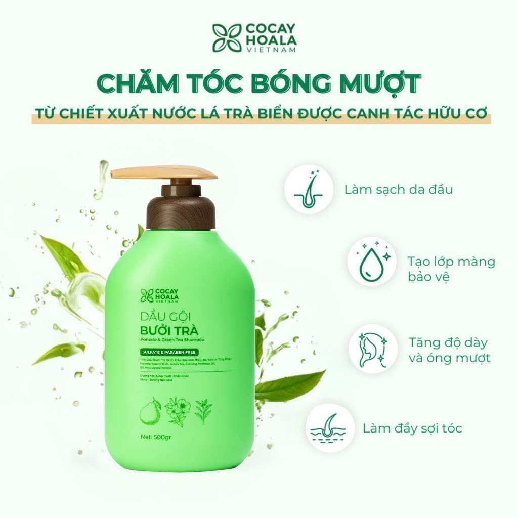 [HỎA TỐC] Combo Dầu Gội Xả Thảo Dược Cỏ Cây Hoa Lá Bưởi Trà Phục Hồi Tóc Hư Tổn 500g | BigBuy360 - bigbuy360.vn