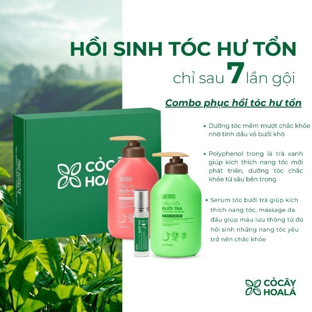 [HỎA TỐC] Combo Dầu Gội Xả Thảo Dược Cỏ Cây Hoa Lá Bưởi Trà Phục Hồi Tóc Hư Tổn 500g | BigBuy360 - bigbuy360.vn