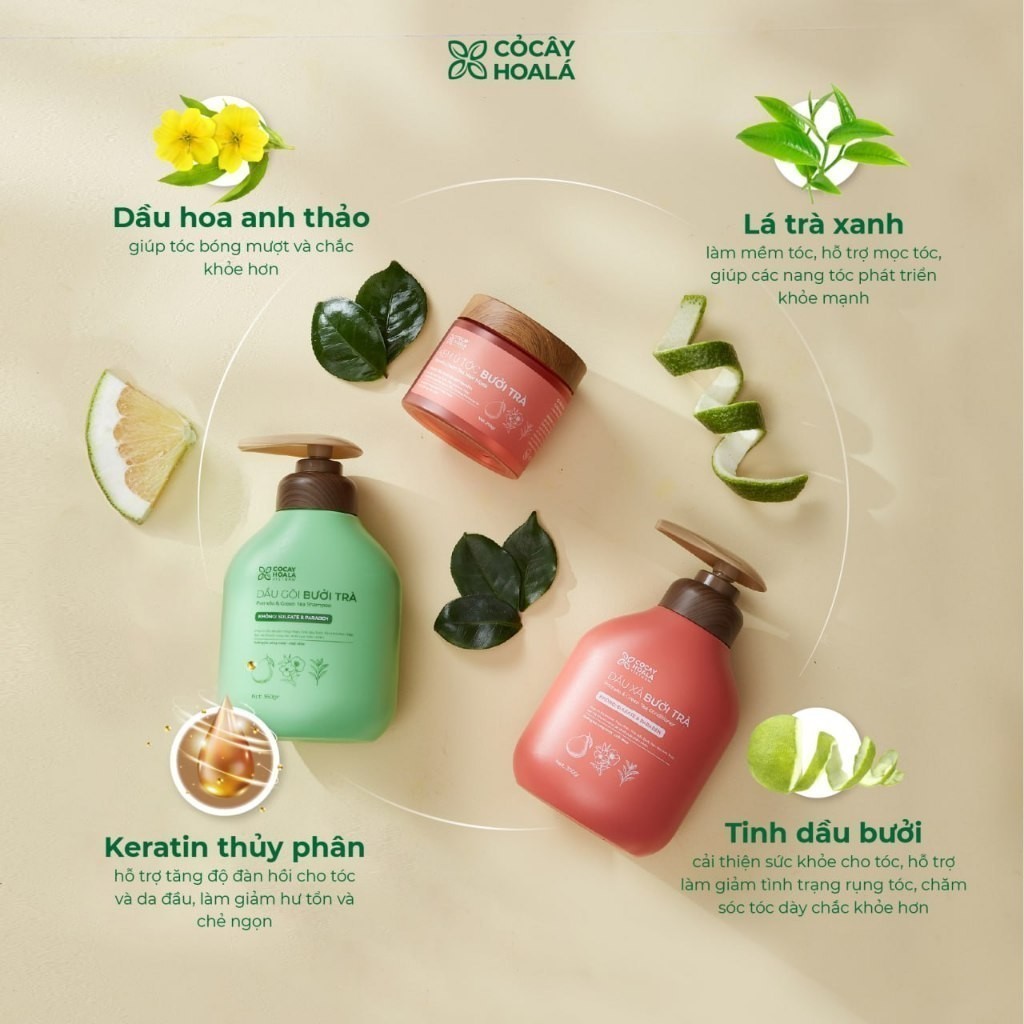 [HỎA TỐC] Combo Dầu Gội Xả Thảo Dược Cỏ Cây Hoa Lá Bưởi Trà Phục Hồi Tóc Hư Tổn 500g | BigBuy360 - bigbuy360.vn