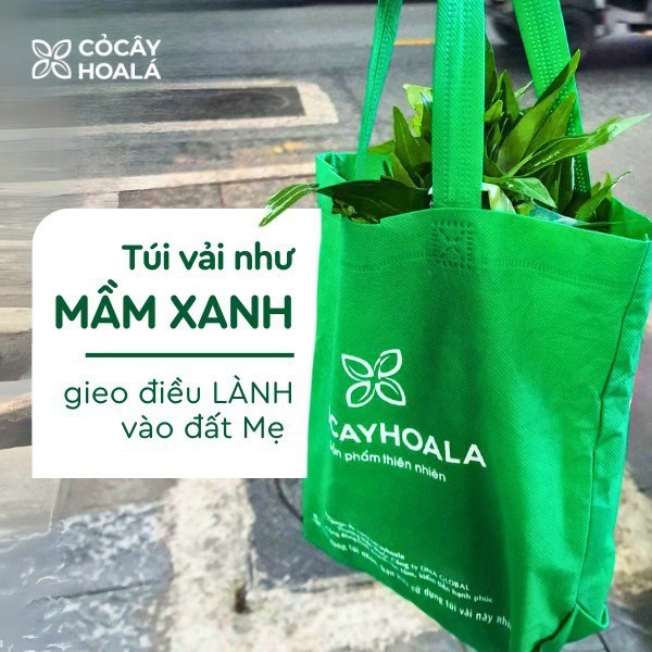 [HỎA TỐC] [HB GIFT] Túi Vải Đựng Đồ COCAYHOALA VIETNAM không dệt đa năng