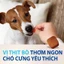 NexGard - Viên nhai phòng ve, rận, bọ, ghẻ dành cho Chó size L (10-25kg) - 1 hộp 6 viên
