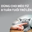 Frontline Plus - Tuýp nhỏ gáy phòng ve, rận, bọ (trứng, ấu trùng, con trưởng thành) cho mèo - 1 hộp 3 tuýp