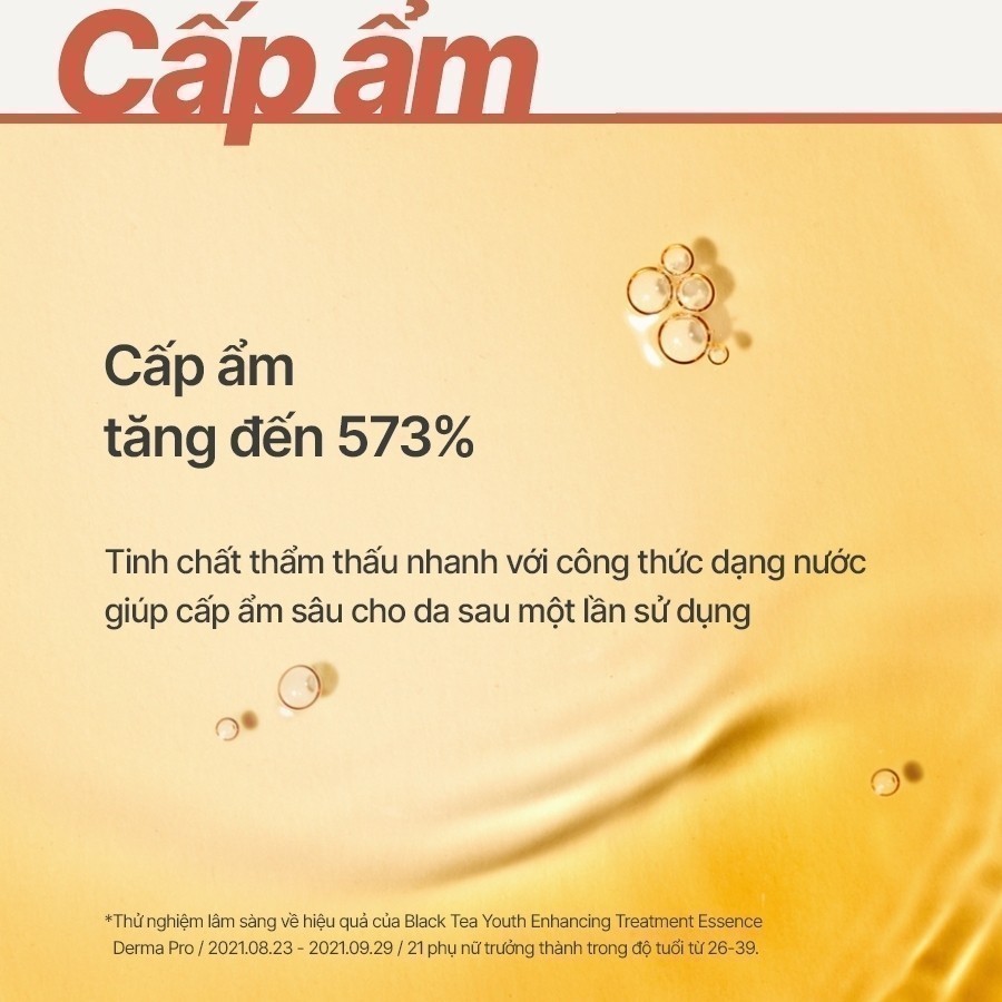 (Quà tặng không bán) Bộ Tinh chất & Nước dưỡng phục hồi da và chống lão hóa trà đen innisfree Black Tea 22ml