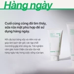 Bộ đôi làm sạch & cấp ẩm Sữa rửa mặt INNISFREE GreenTea Amino Cleansing Foam 150g & Green Tea Seed Hyaluronic Serum 80mL — ảnh 8