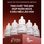 Tinh chất phục hồi da và chống lão hóa trà đen innisfree Black Tea Youth Ampoule 30 mL — ảnh 3