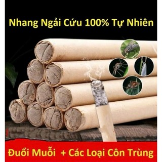 Nhang Ngải Cứu Hộp 10 Thanh Kèm Đế Gỗ | Nhang Ngải Cứu Thảo Mộc Xông Nhà Đuổi Muỗi Thơm Phòng