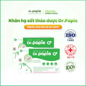 2 Hộp Khăn Hạ Sốt Dr.Papie 0+ Hạ sốt Vật lý Chuẩn Nhi Khoa, Ngăn Ngừa Co Giật Cho Bé Hộp 5 Gói x 5 Khăn/Gói