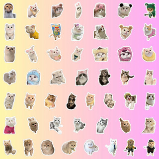 100 Sticker Mèo Dễ Thương