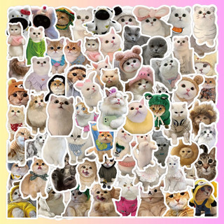 100 Sticker Mèo Dễ Thương