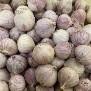(BÁN CHẠY) 1KG Tỏi cô đơn. Đặc sản tỏi cô đơn, tỏi 1 nhánh