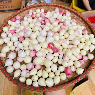 1kg Tỏi cô đơn. Đặc sản tỏi cô đơn, tỏi 1 nhánh