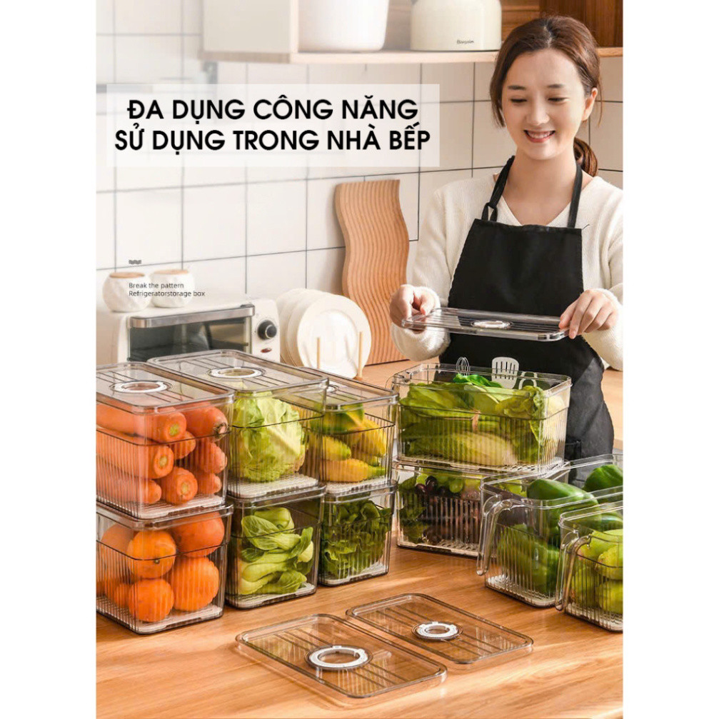 Hộp nhựa đựng thực phẩm có quai, hộp bảo quản thực phẩm tủ lạnh tươi ngon nhựa cao cấp, sang trong