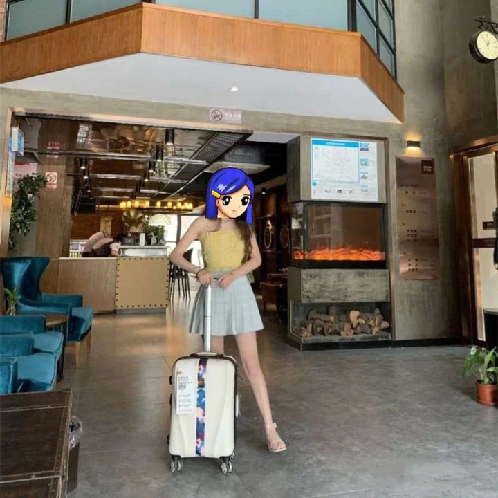 Suitcase – 4