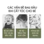 khi mua Tông Đơ Cắt Tóc Trẻ Em