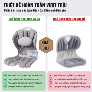 Ghế Bệt Tựa Lưng Vỏ Sò Có Gối Tựa, Ghế Công Thái Học Ngồi Bệt Chỉnh Dáng Ngồi Chống Gù Lưng CTH-02