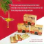 Tinh Dầu Thông Đỏ Chính Phủ Pine Joeksong Xuất Xứ Hàn Quốc``` ( hàng mới về )