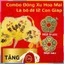 Combo Lá Bồ Đề 12 Con Giáp Và Đồng Xu Hoa Mai Trang Trí Phong Thuỷ