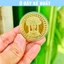 ⭐SẴN HÀNG⭐ Đồng Xu Bà Đen Tây Ninh Mạ Vàng ý nghĩa phong thủy may mắn, làm quà tặng lưu niệm