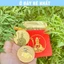 ⭐SẴN HÀNG⭐ Sỉ Đồng Xu Bà Cố Hỷ Thượng Động Mạ Vàng , Kèm Túi Đỏ Bà Cố Phong Thuỷ May Mắn