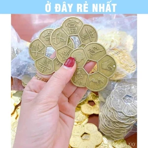 ⭐SẴN HÀNG⭐ Đồng Xu Phong Thuỷ Hoa Mai 5 Cánh Giá Tốt Nhất, Sỉ Số Lượng Lớn