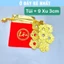⭐SẴN HÀNG⭐ Combo 9 đồng xu hoa mai Cổ 3cm phong thuỷ cho nữ , TẶNG TÚI LỘC ĐỎ