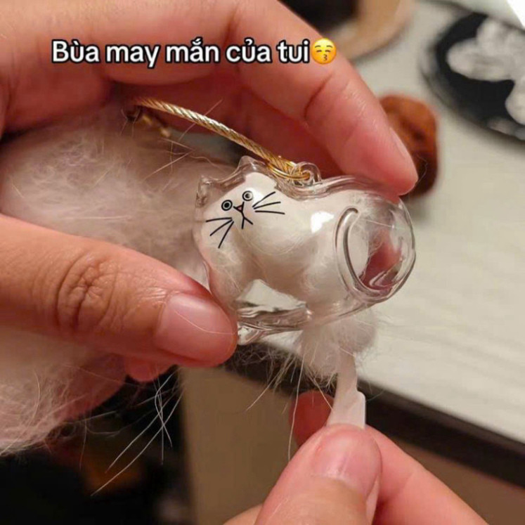 Phụ kiện lưu trữ lông mèo, mặt dây chuyền kỉ niệm cho Sen