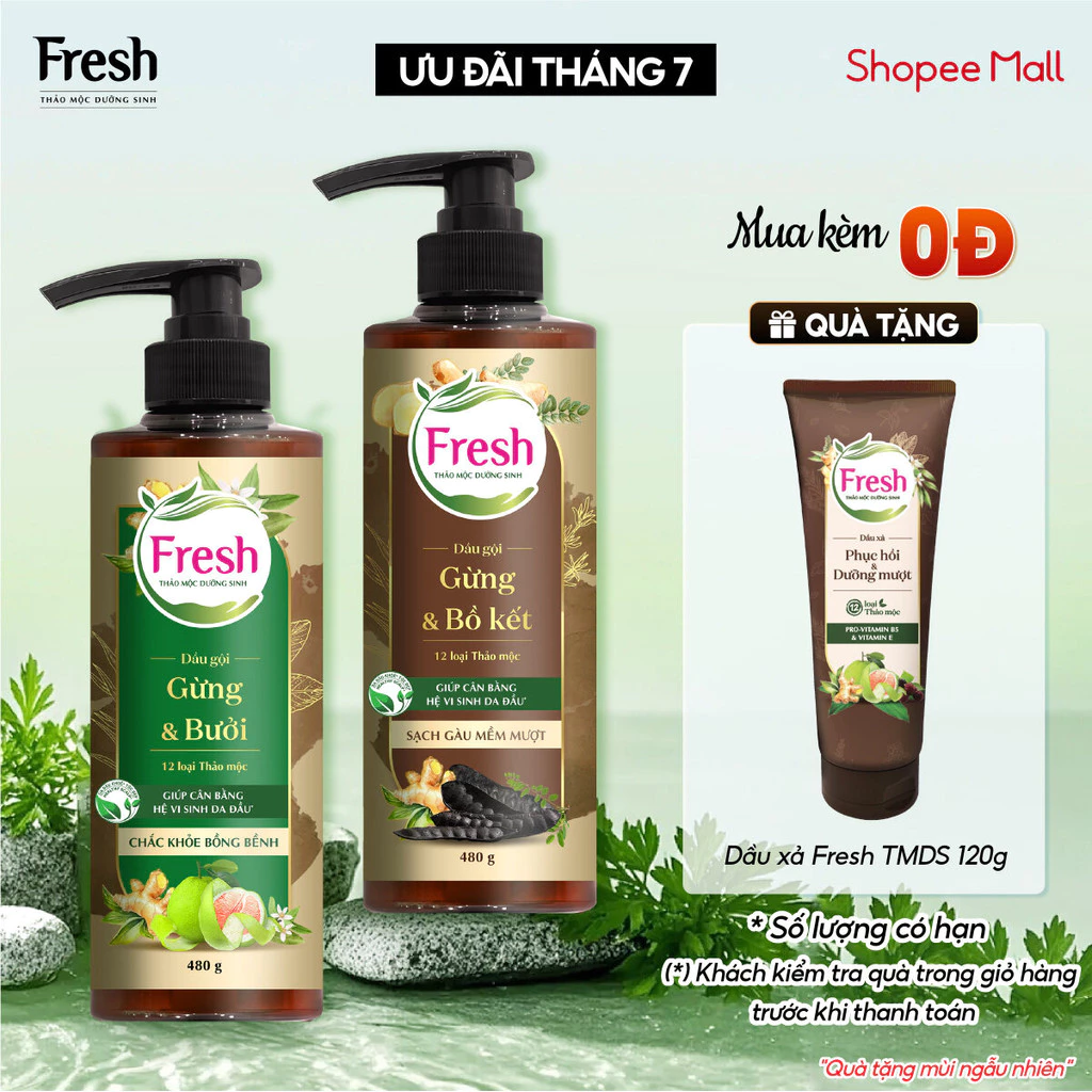 Dầu Gội Fresh Thảo Mộc Dưỡng Sinh