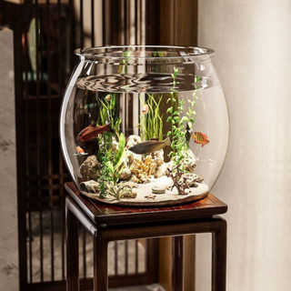 Bể Cá Nhựa Trong Suốt Bể Cá Tròn Size Lớn Chống Va Đập Trang Trí Phòng Khách, Văn Phòng Ngói House - BCN01